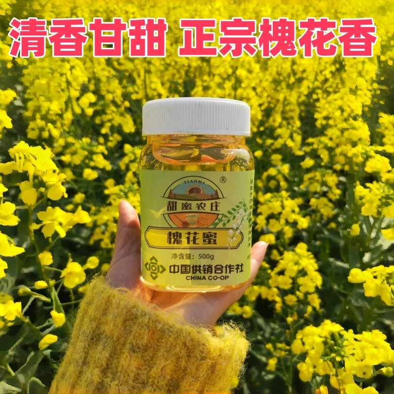 深山纯正洋槐花蜜正品天然原蜜农家蜂蜜正宗野生零添加1斤1瓶自产