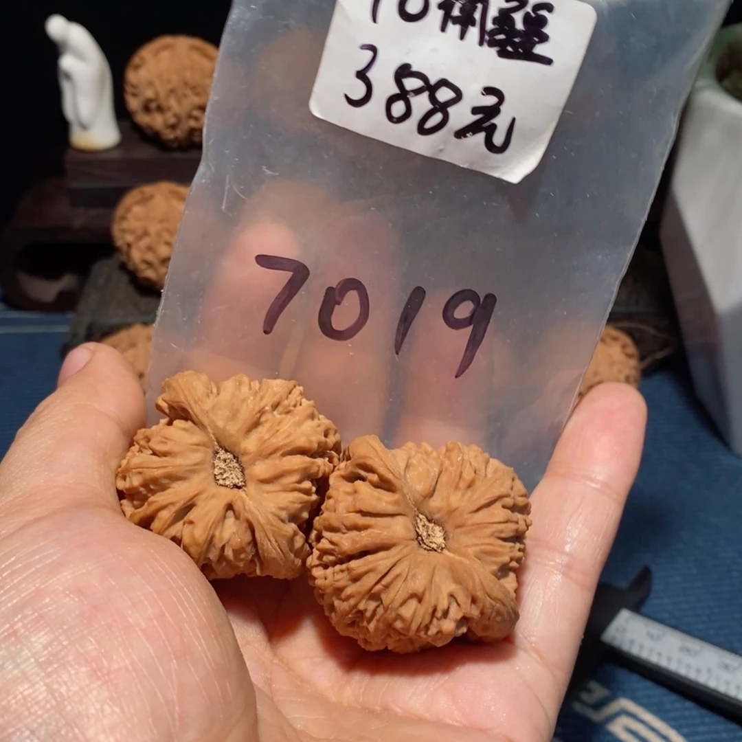 文玩核桃把件奥****凡全品无修7019