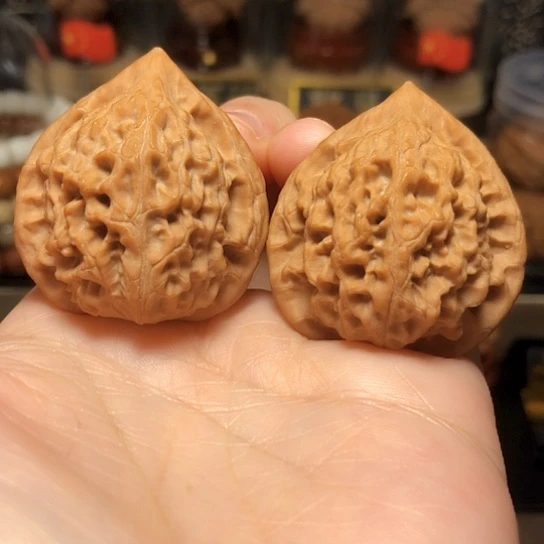 野生高端品：贵妃帽