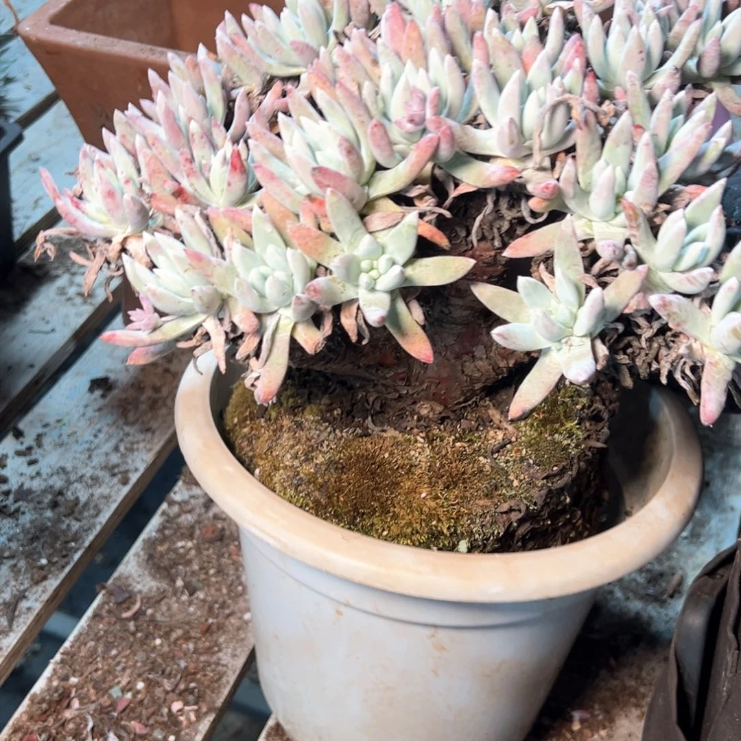 7612哈哈哈哈哈哈哈哈哈