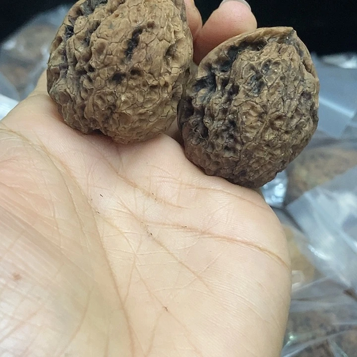 木质类云南铁核桃基地87