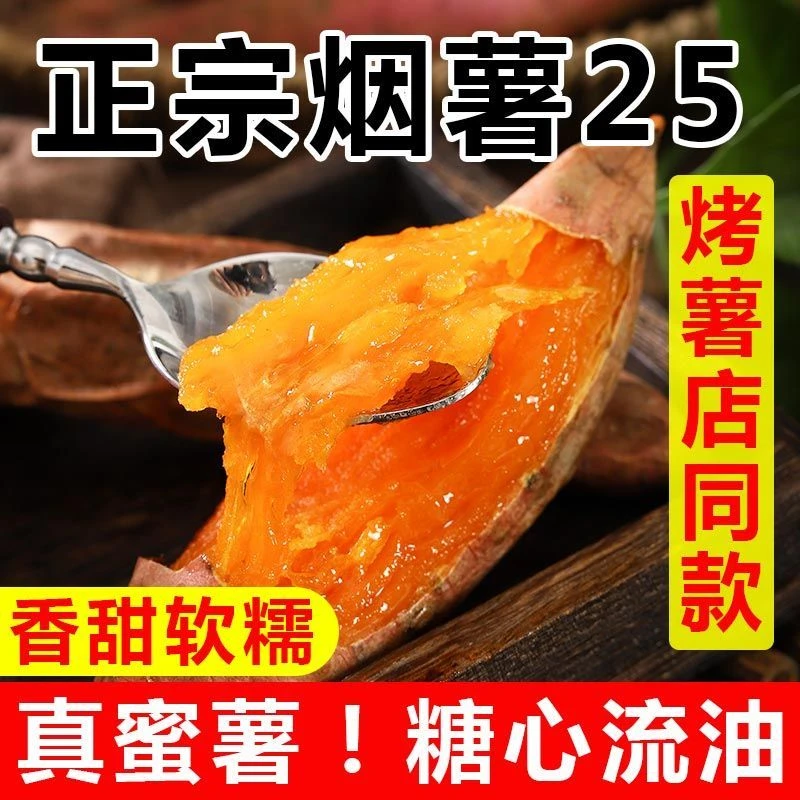 【假一赔十】正宗山东直发烟薯25号糖心糖化坏烂包赔试吃一斤