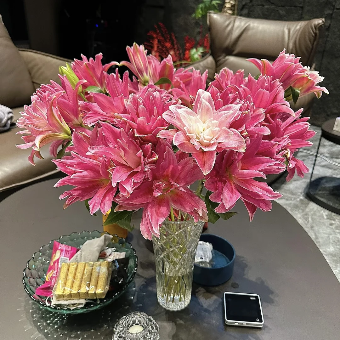 【植予花田】一眼就爱上的百合-红美人重瓣百合