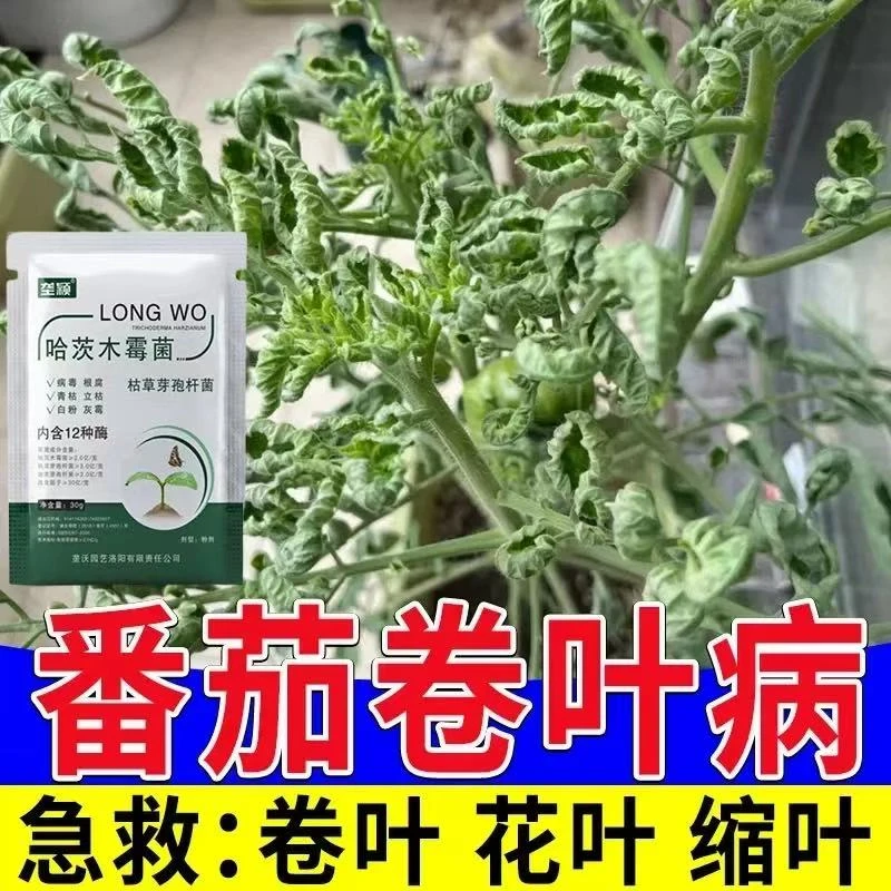 番茄病毒病专用肥西红柿疫病卷叶黄叶病炭疽病白粉病通用叶面肥料