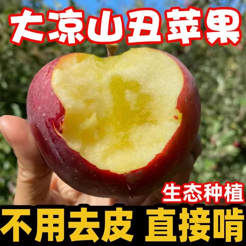 【2025大凉山丑苹果】冰糖心苹果正宗大凉山丑苹果产地直发整箱包邮
