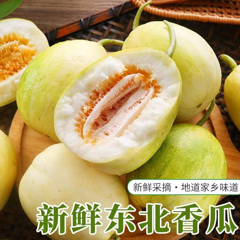 东北香瓜新鲜金菲甜瓜当季水果农家自种现摘现发坏果包赔整箱包邮