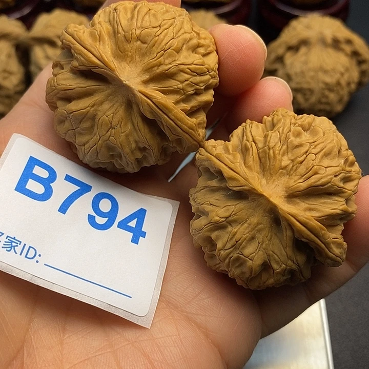 核桃苹果园4.2，0000