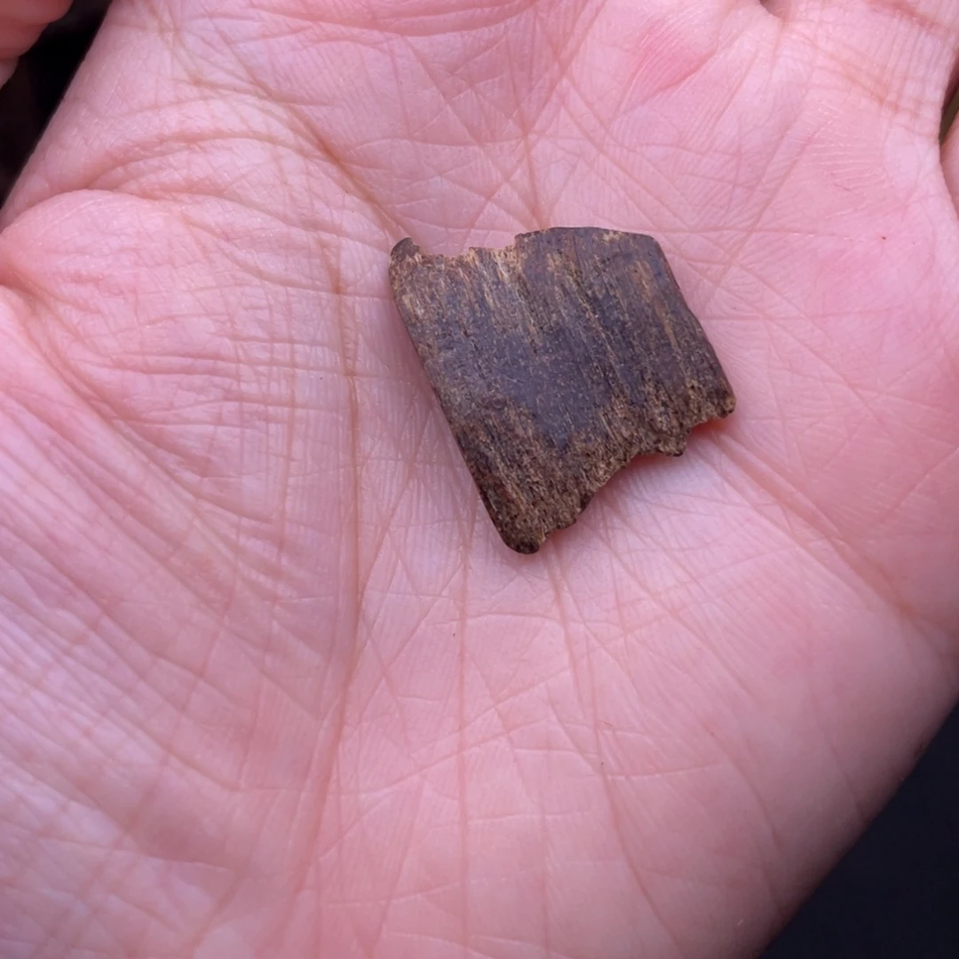 香榧木海南尖峰岭沉水树心油1.2克