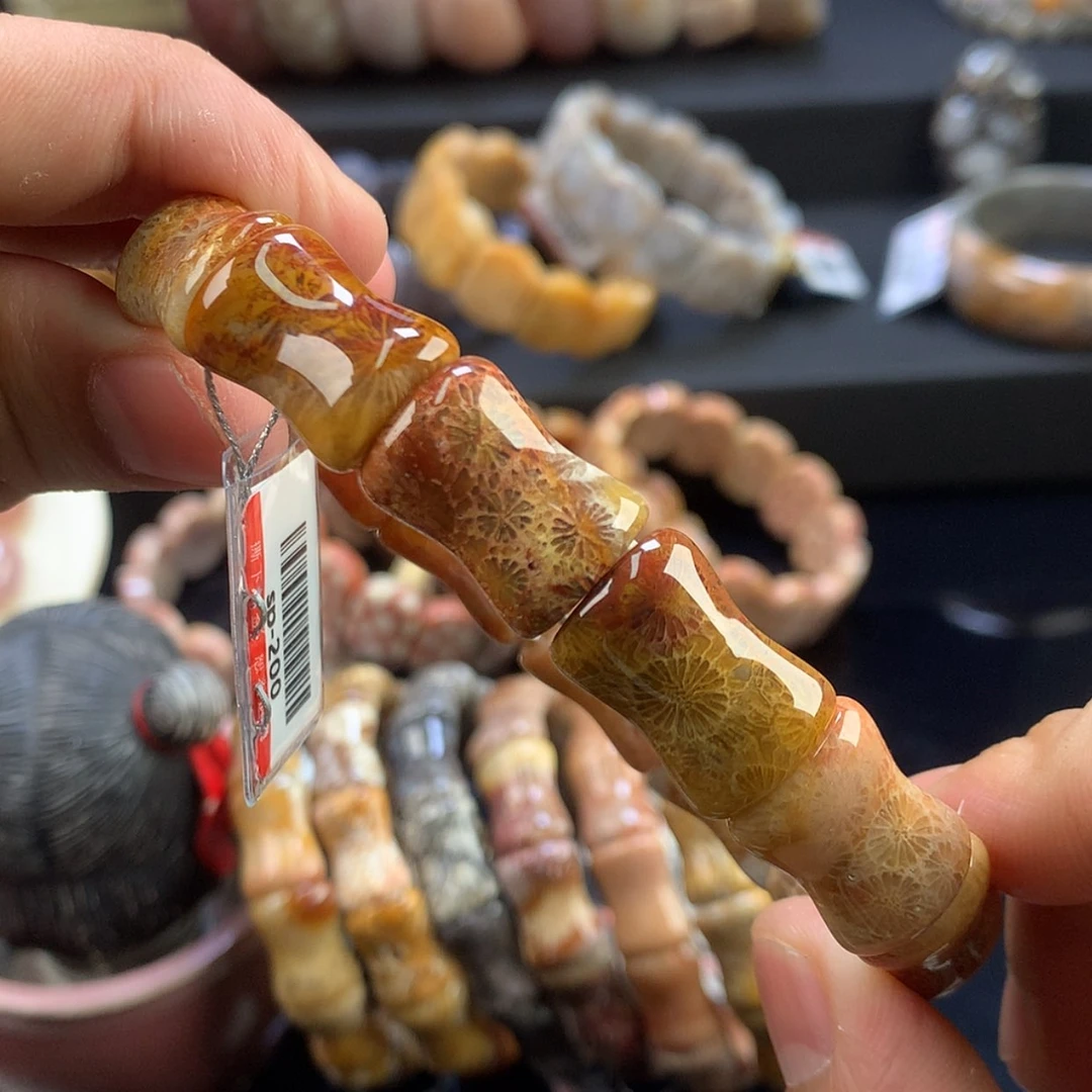 【闪购商品】硅化珊瑚（珊瑚玉）未镶嵌颈饰55号