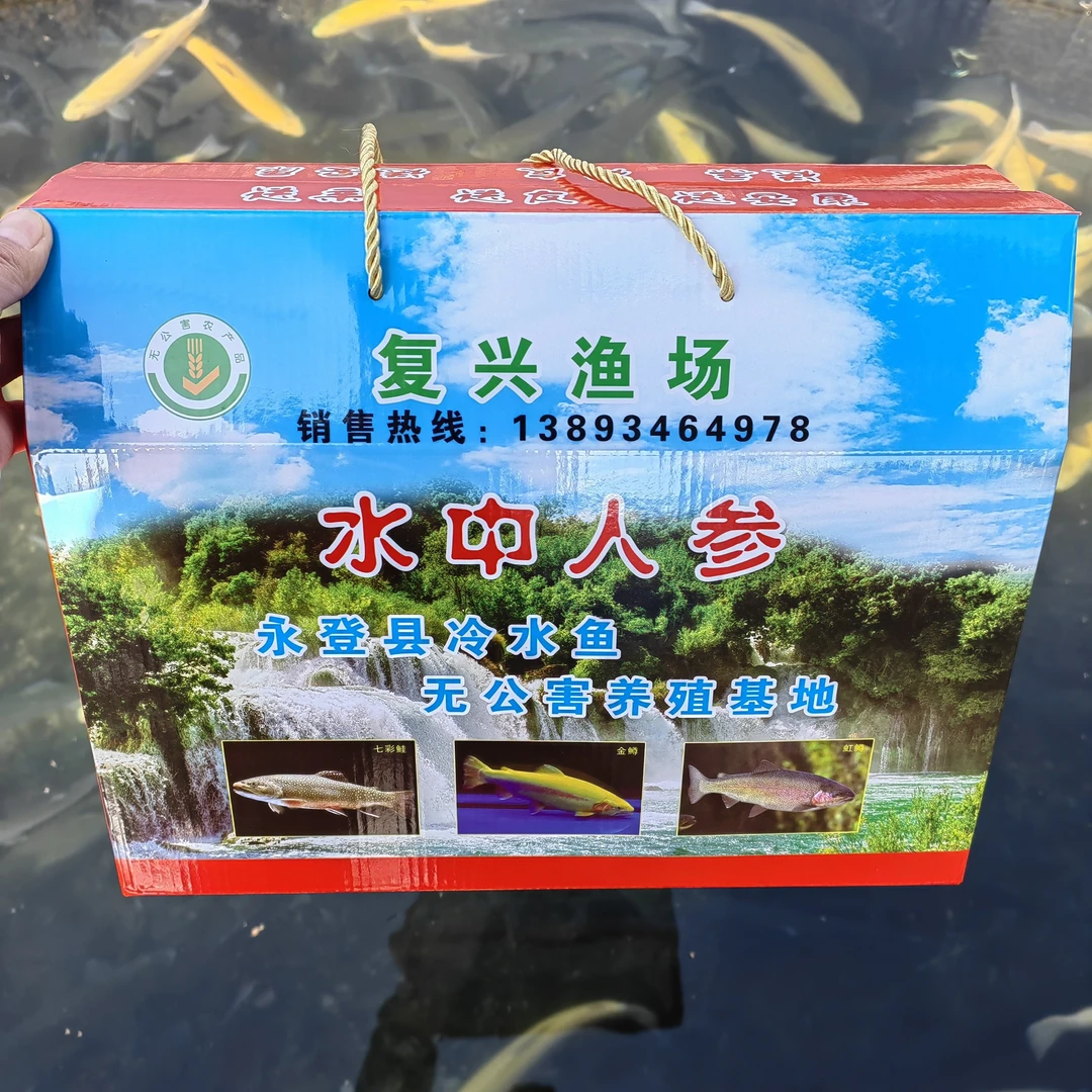 永登金鳟虹鳟8斤装4条各2条精美年送礼礼盒（净重去除内脏17-20%）