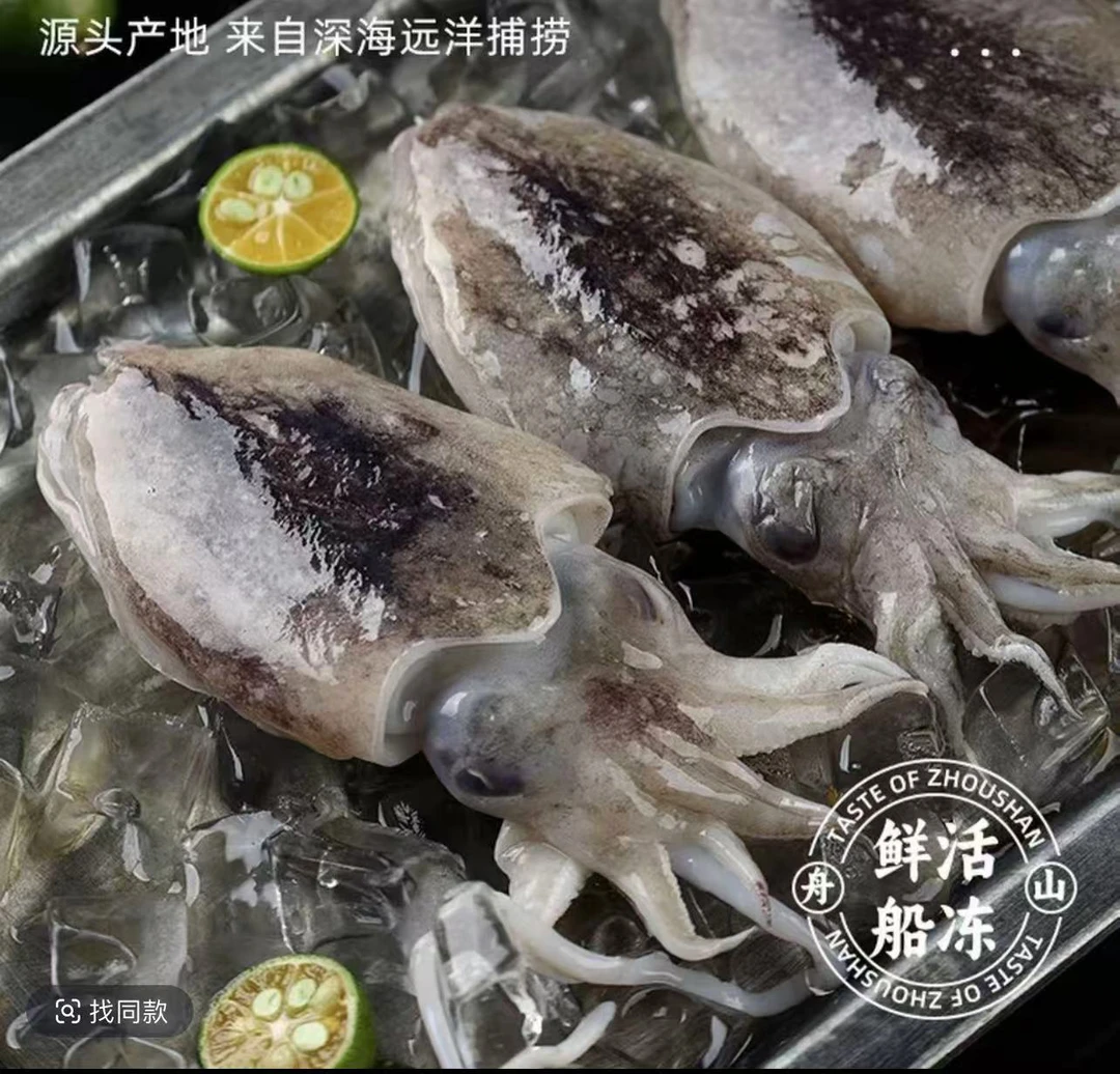 新鲜墨鱼鲜活冷冻野生海捕 一斤12只左右 顺丰冷链包邮