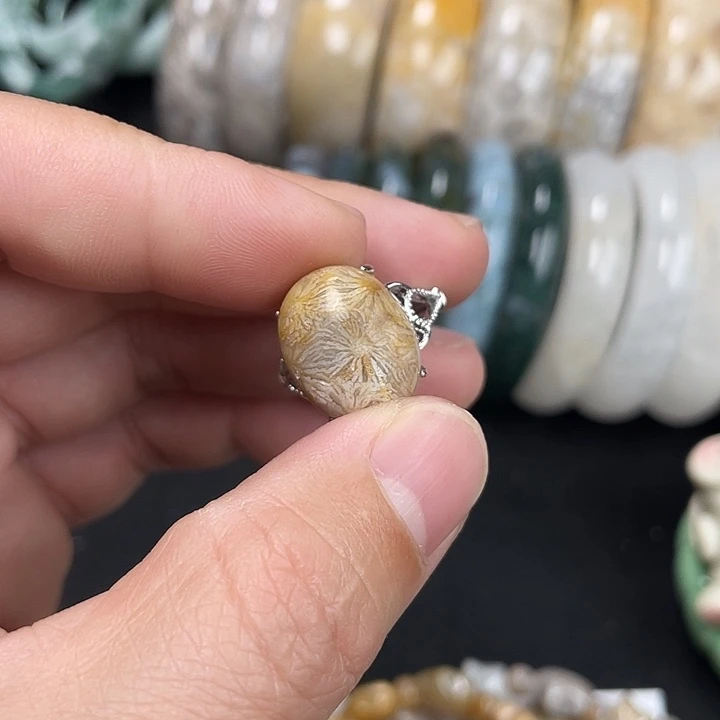 硅化珊瑚（珊瑚玉）未镶嵌吊坠(不含链)