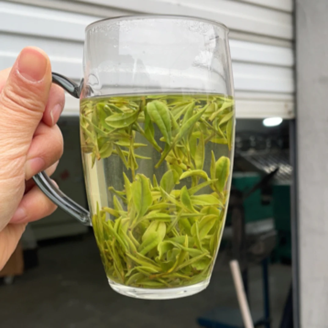 【6号】明前口粮茶，纯正兰花香浓郁