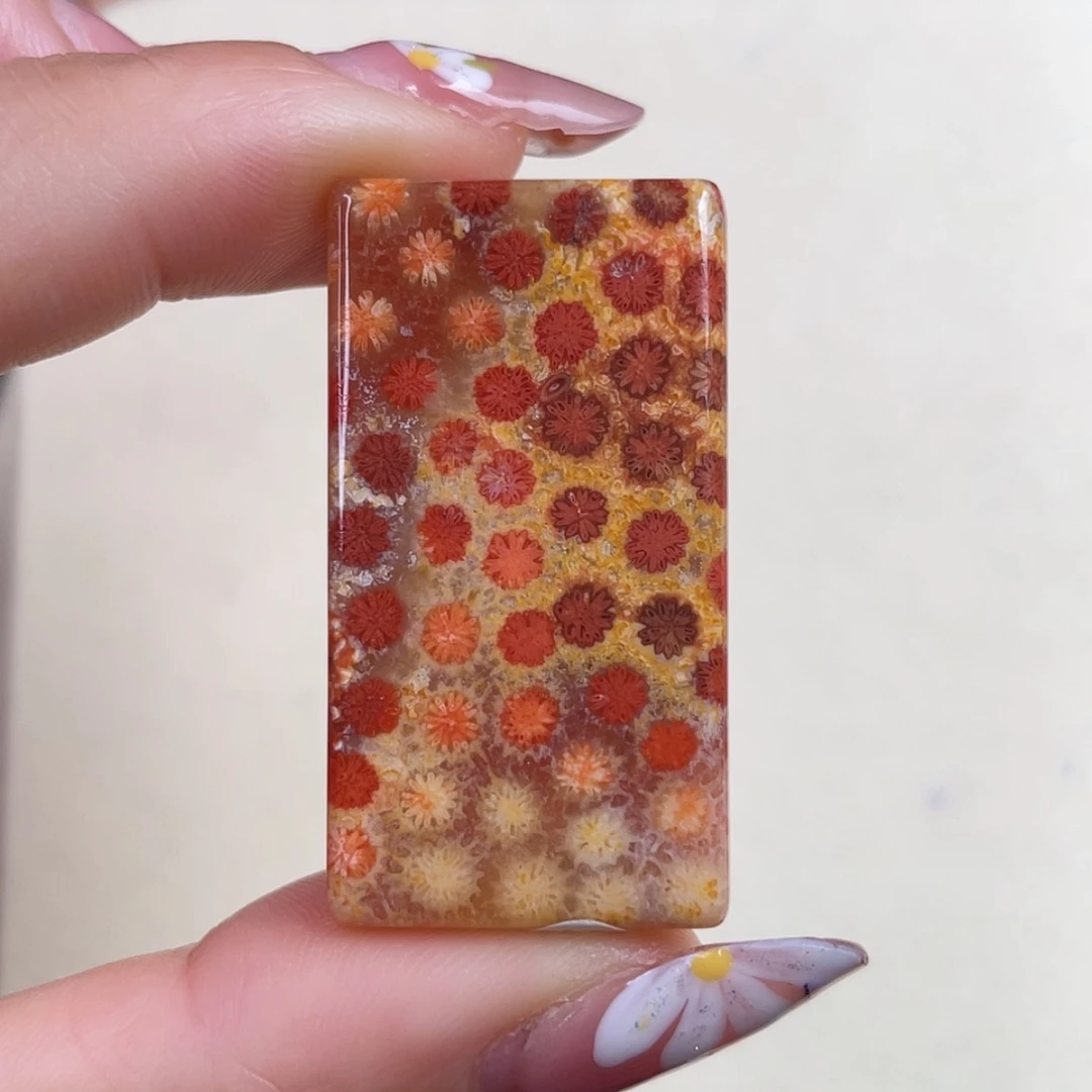 【闪购商品】未镶嵌吊坠(赠链)硅化玉