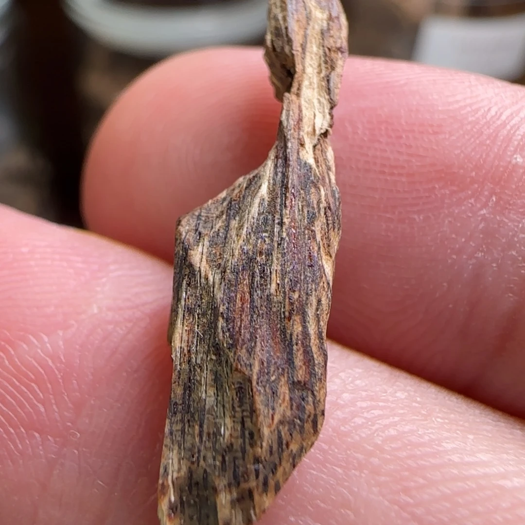 沉香沉香碎屑海南尖峰岭天然野棋标本0.23克