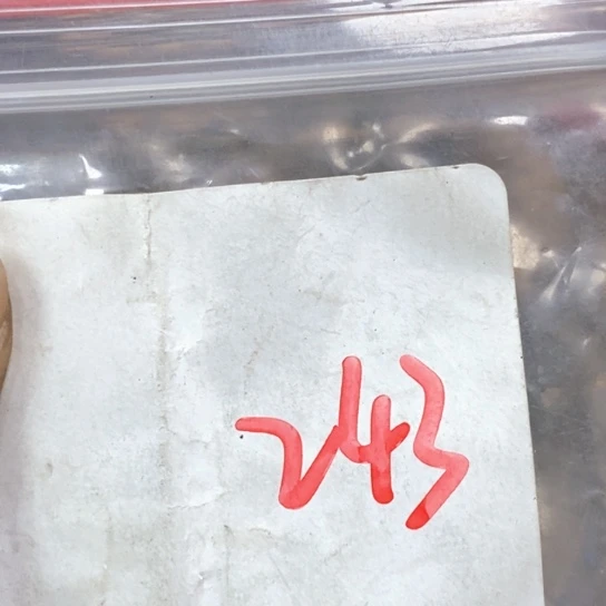 星***晟吊坠滴血莲花菩提