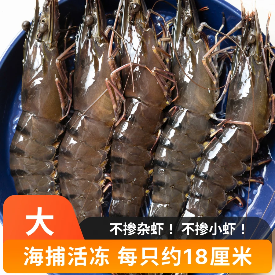 3斤[本地黑虎虾] 大每斤10～15条，3斤共30-45条 每只约18厘米