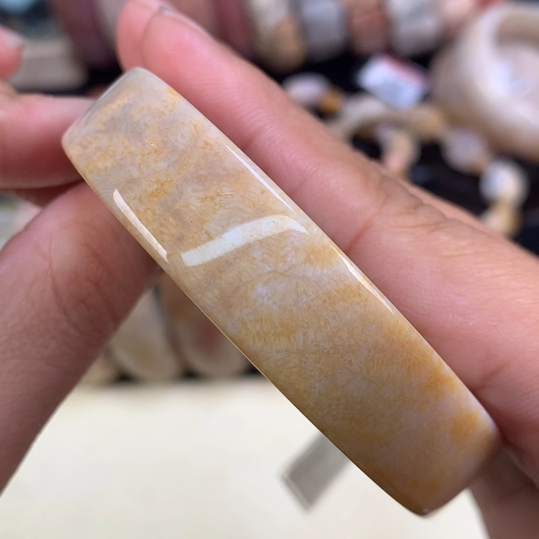 【闪购商品】颈饰未镶嵌硅化珊瑚（珊瑚玉）66号龙骨54圈