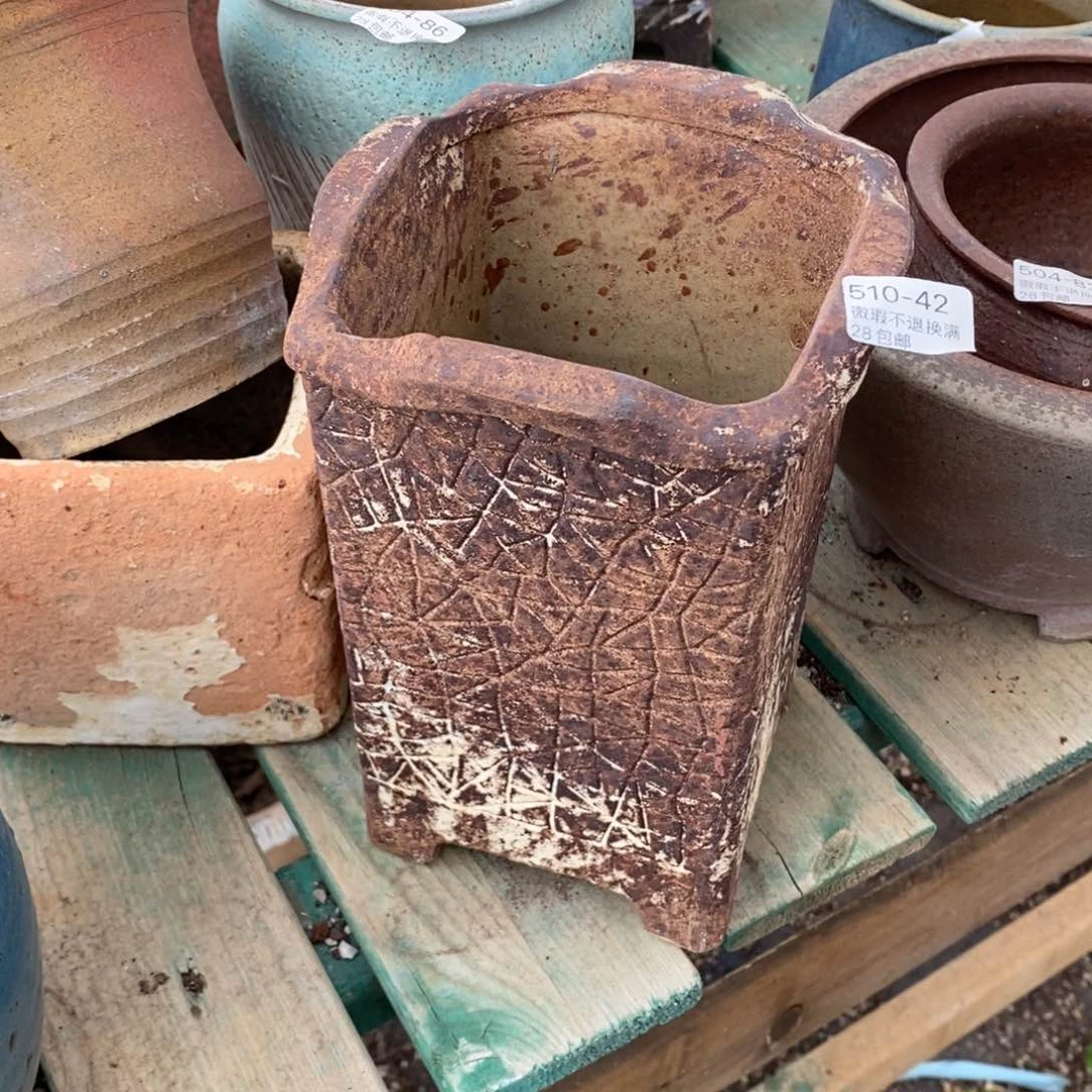 简*42号多肉盆一个呀