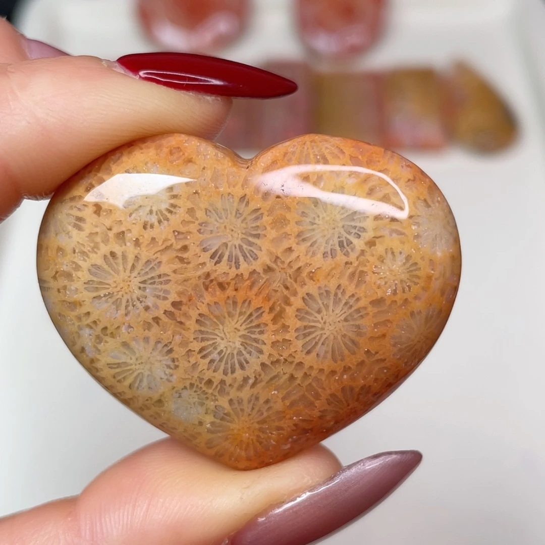 【闪购商品】未镶嵌吊坠(赠链)硅化玉