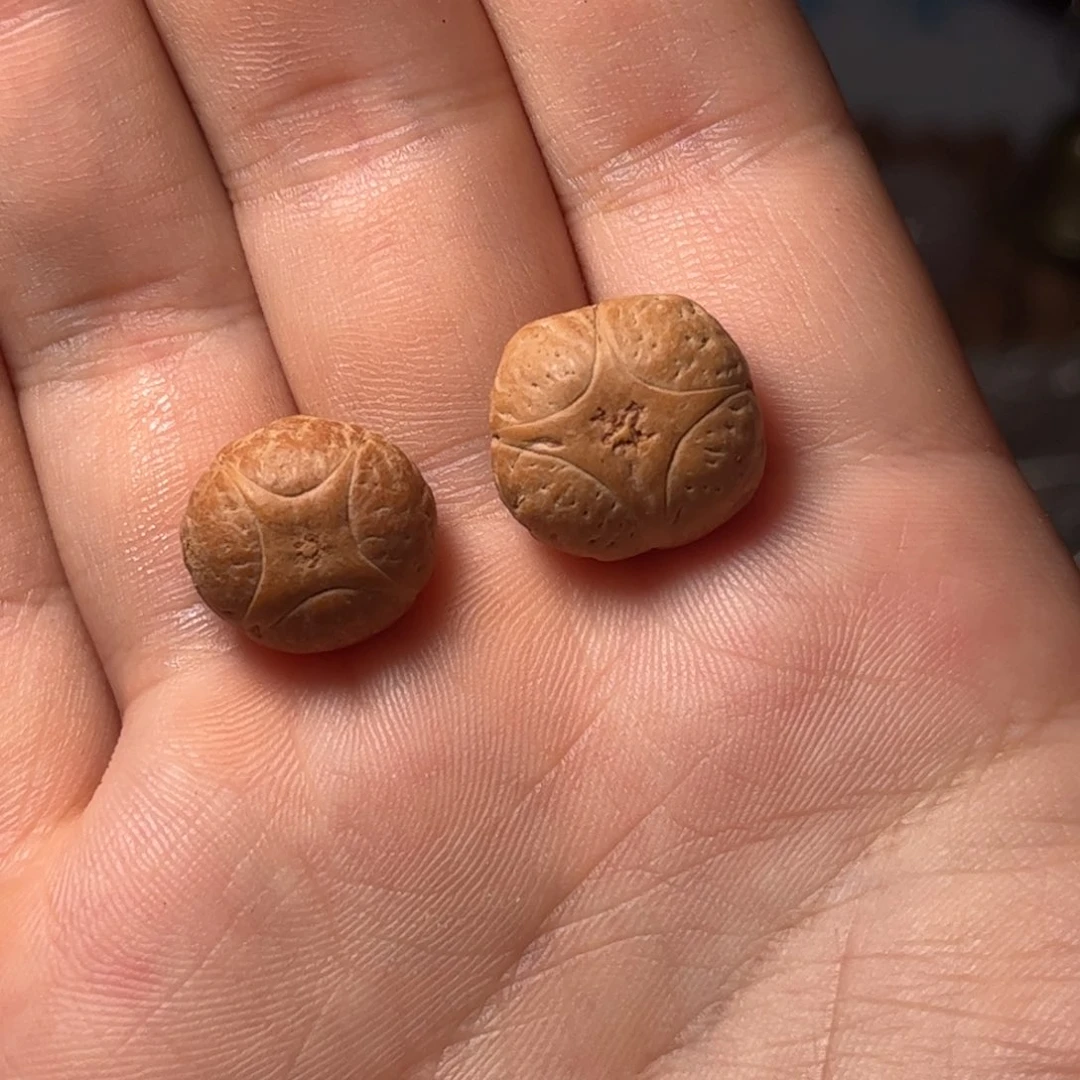 桃核吊坠17.7mm麒麟眼，开孔不退，偏远不包