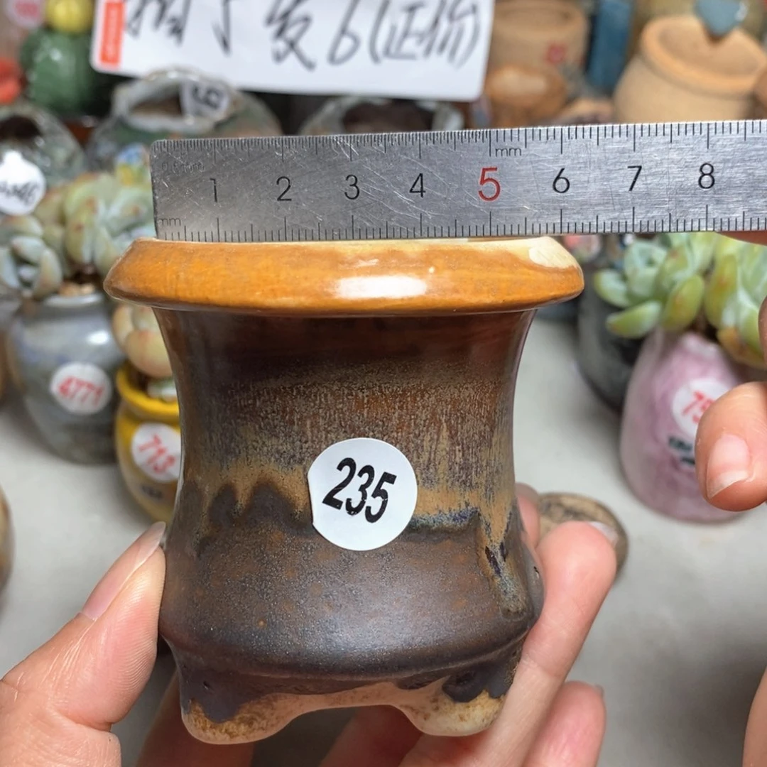 拍5送一个小礼物