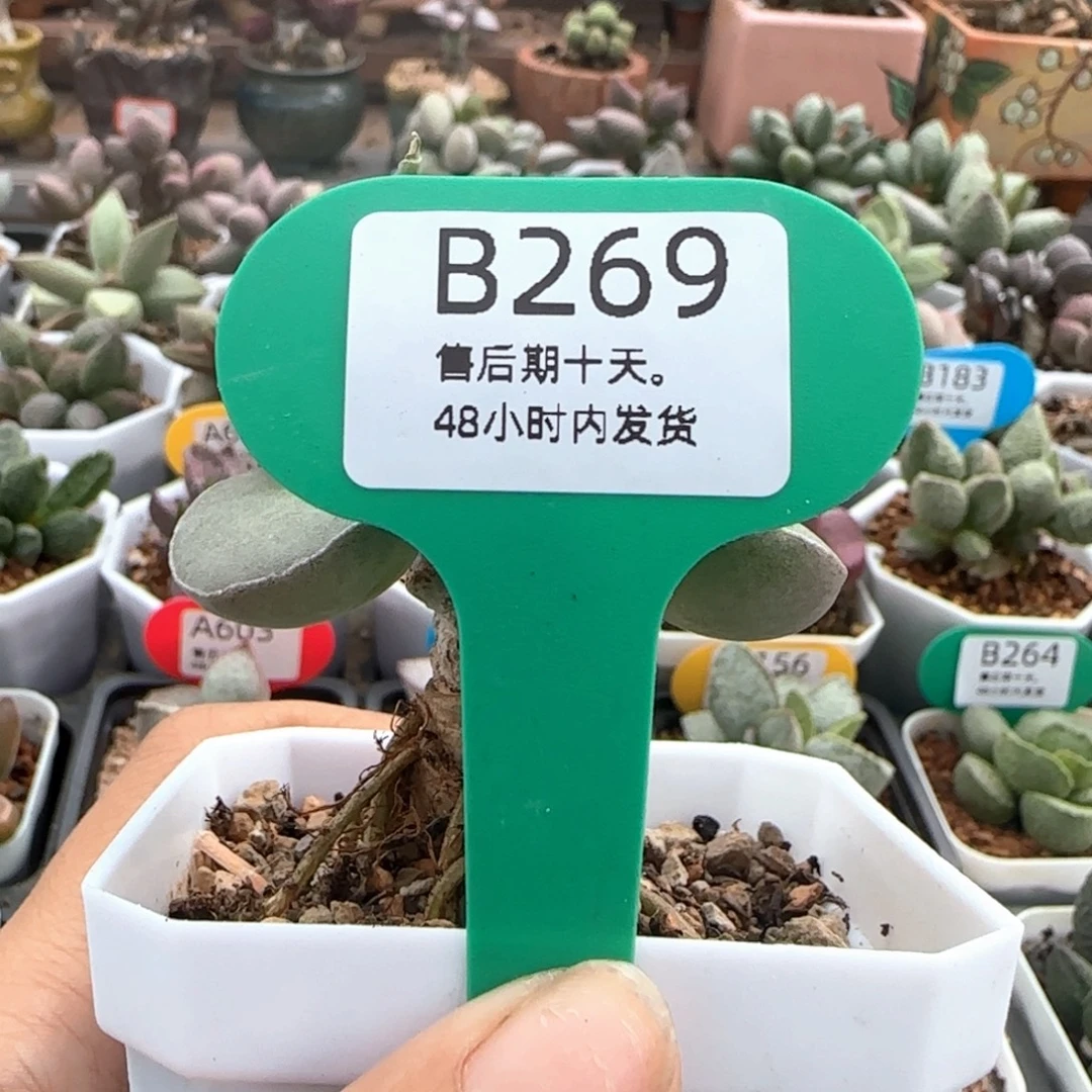隔****补差价，296。