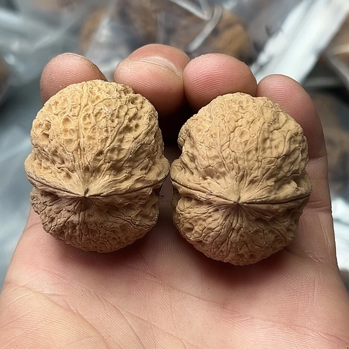 把件文玩核桃38号山海龙蛋40尺