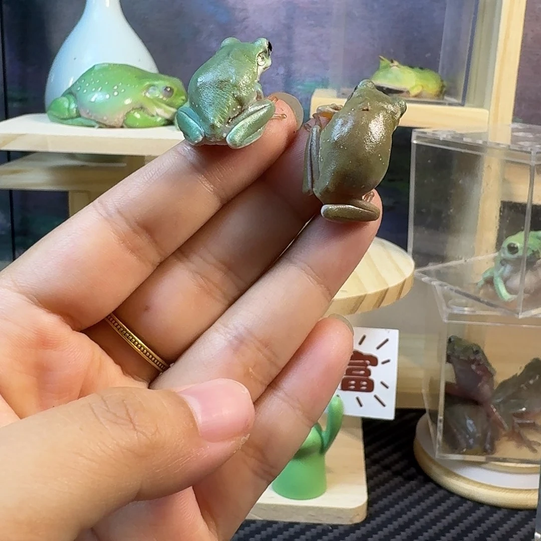 老爷树蛙两只姥爷树蛙