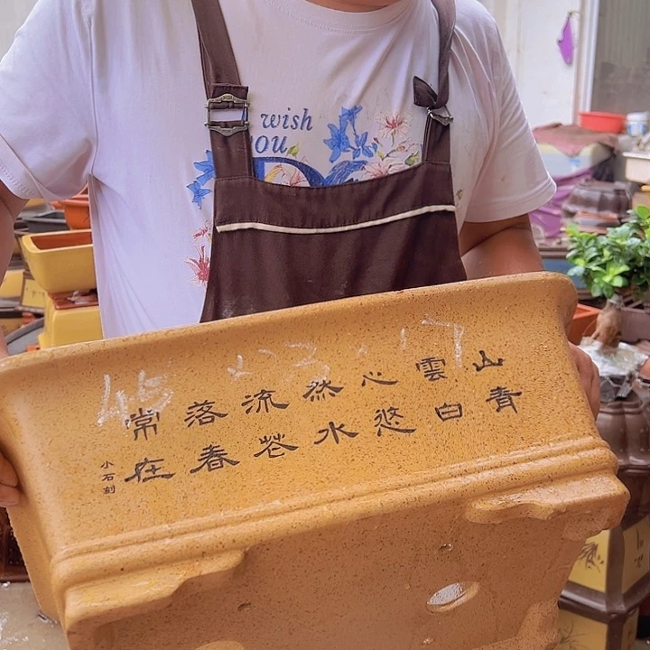 紫砂花盆紫砂花盆