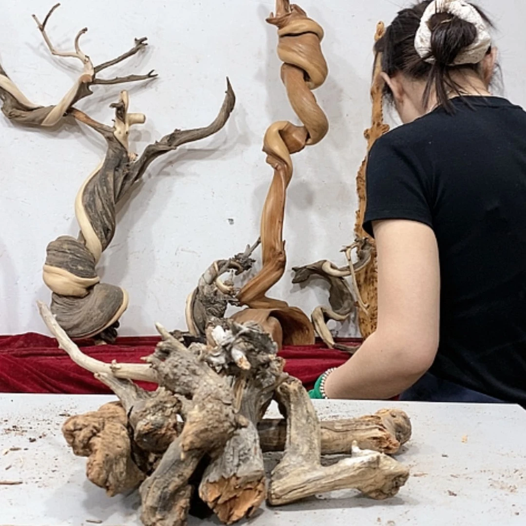 【闪购商品】柏木奇*我们都是好孩子啊