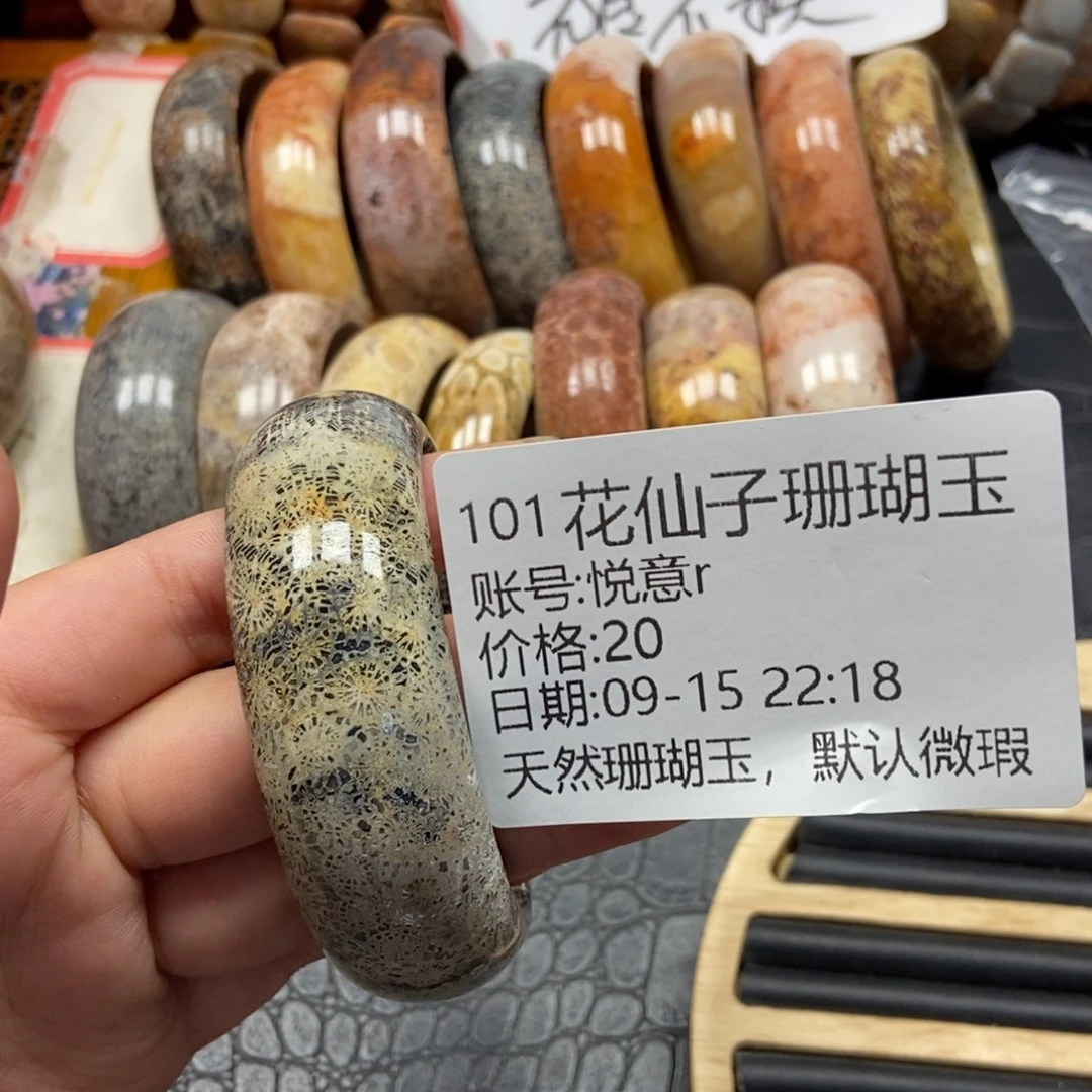 悦***r未镶嵌硅化珊瑚（珊瑚玉）珠宝半成品101