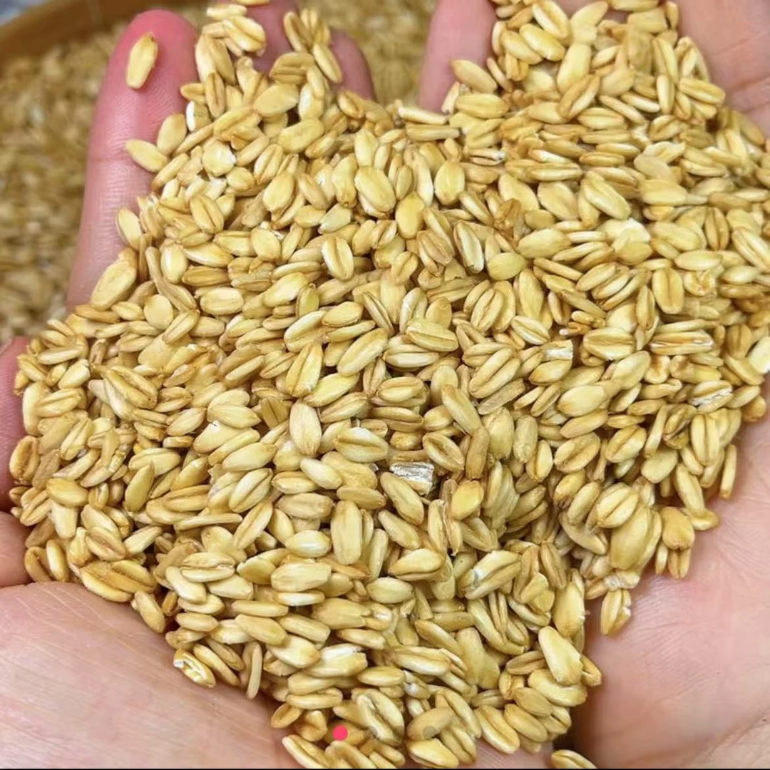 燕麦煮饭煮粥粗粮