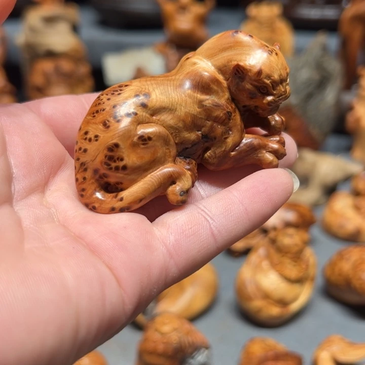 用***4柏木（崖柏）点点关注