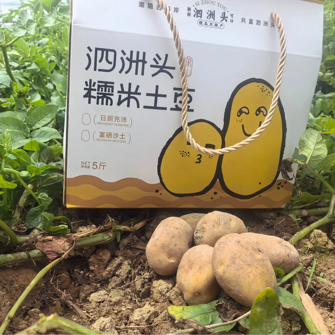 象山本地特产泗洲头糯米土豆