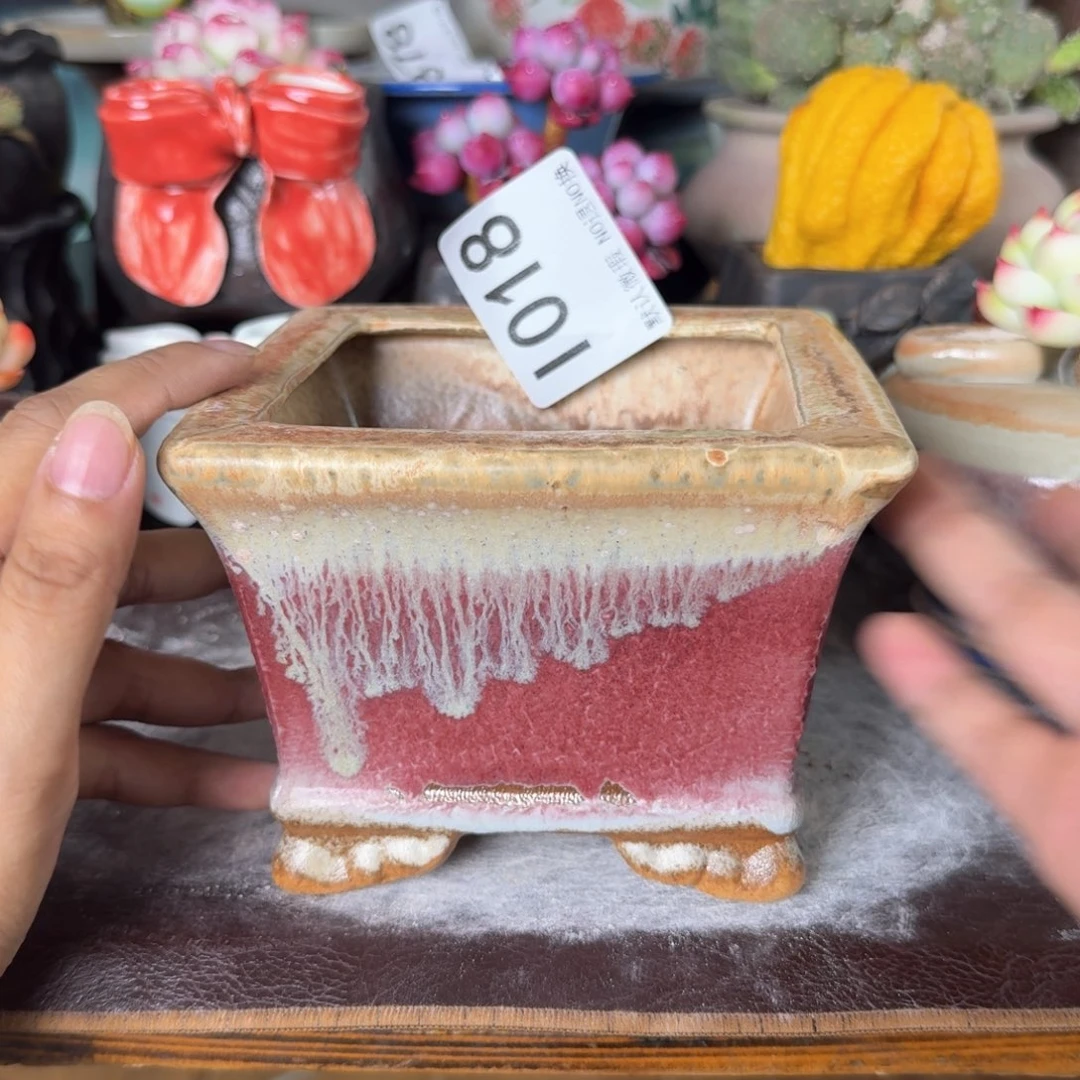 重庆小燕子欢迎大家018