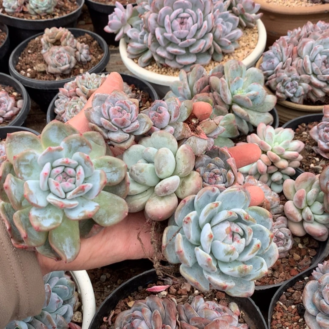 哈哈哈哈哈哈哈哈哈