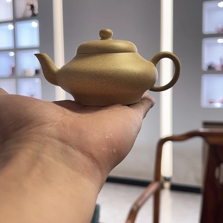 茶壶紫砂芝麻绿半手明式虚扁壶