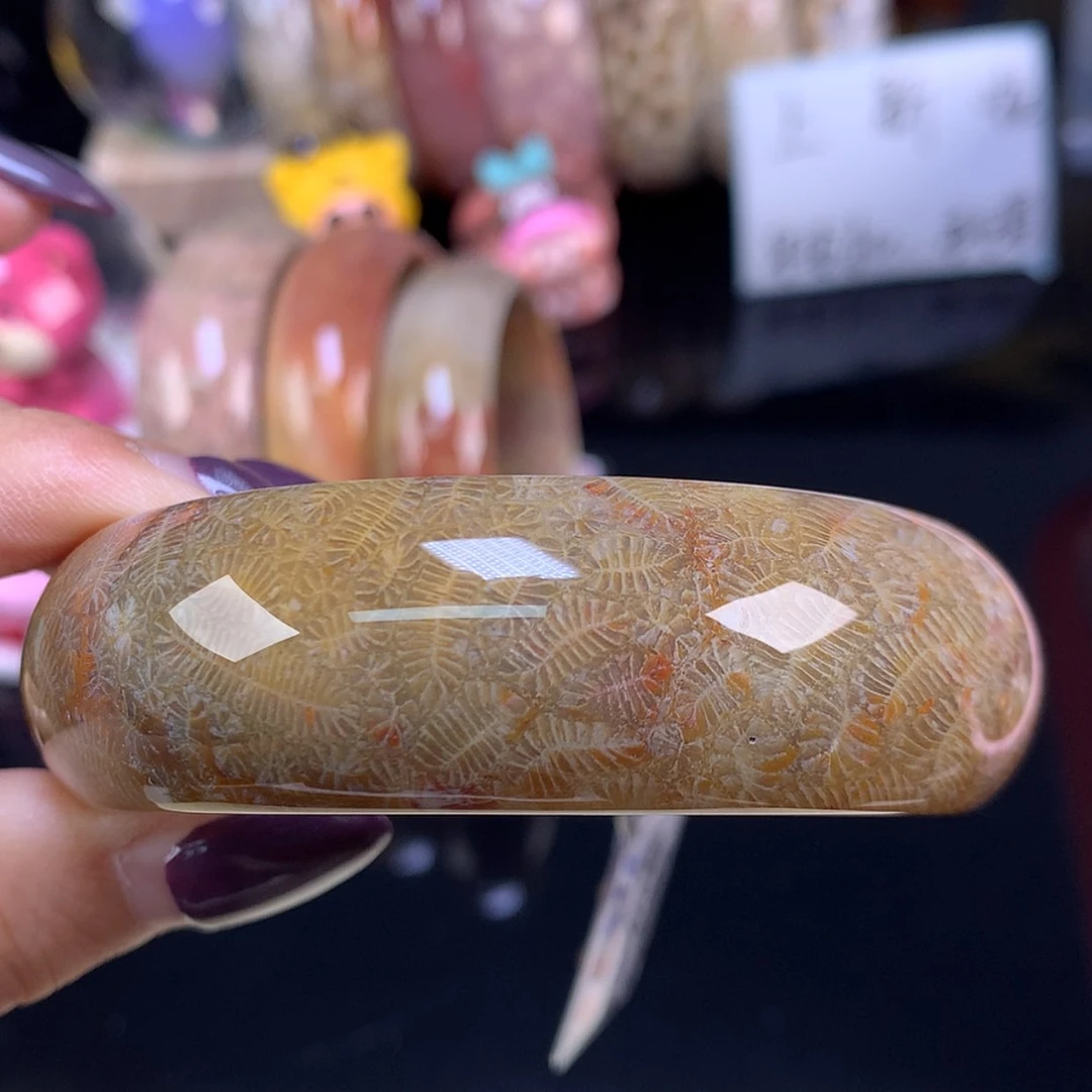 【闪购商品】颈饰未镶嵌硅化珊瑚（珊瑚玉）上新美货手镯59（12号）