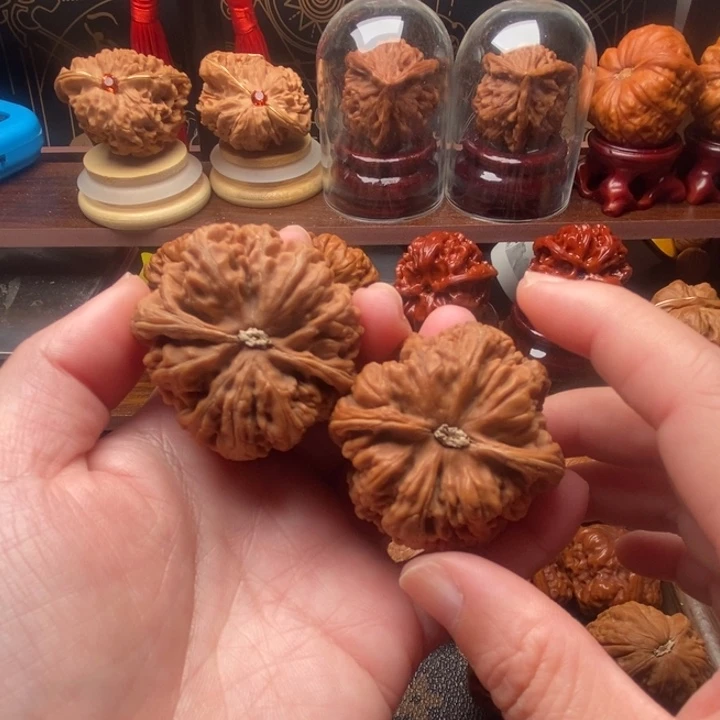 β***文玩核桃吊坠粗筋dhkfdhlll