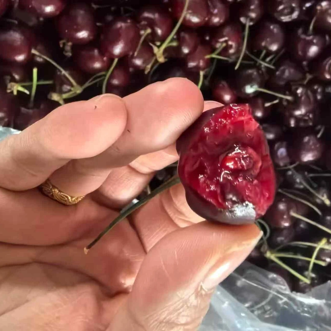 桑提娜JD智利车厘子5公斤原箱 加黑加甜-乌鲁木齐京东包邮