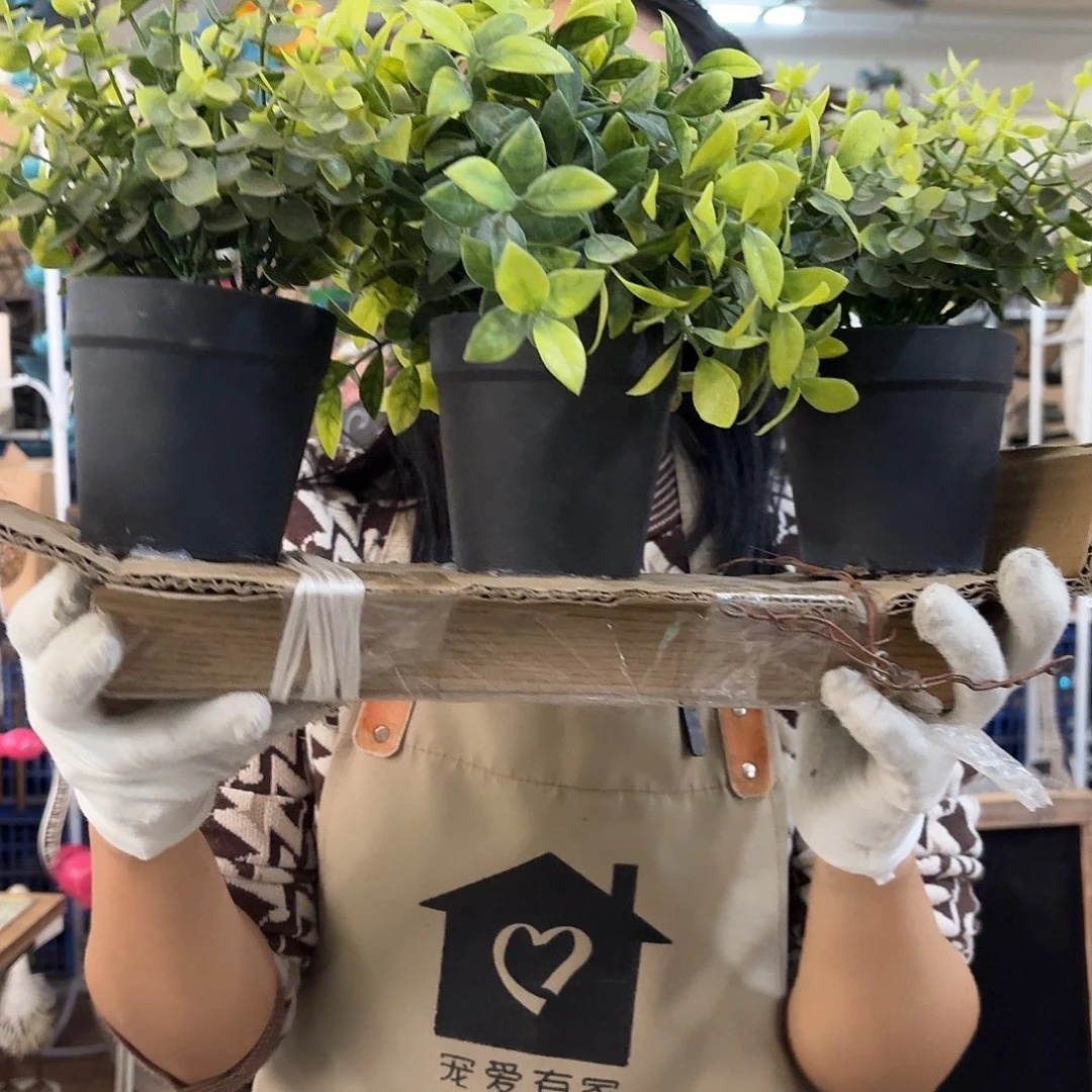 非洲紫檀（红花梨）