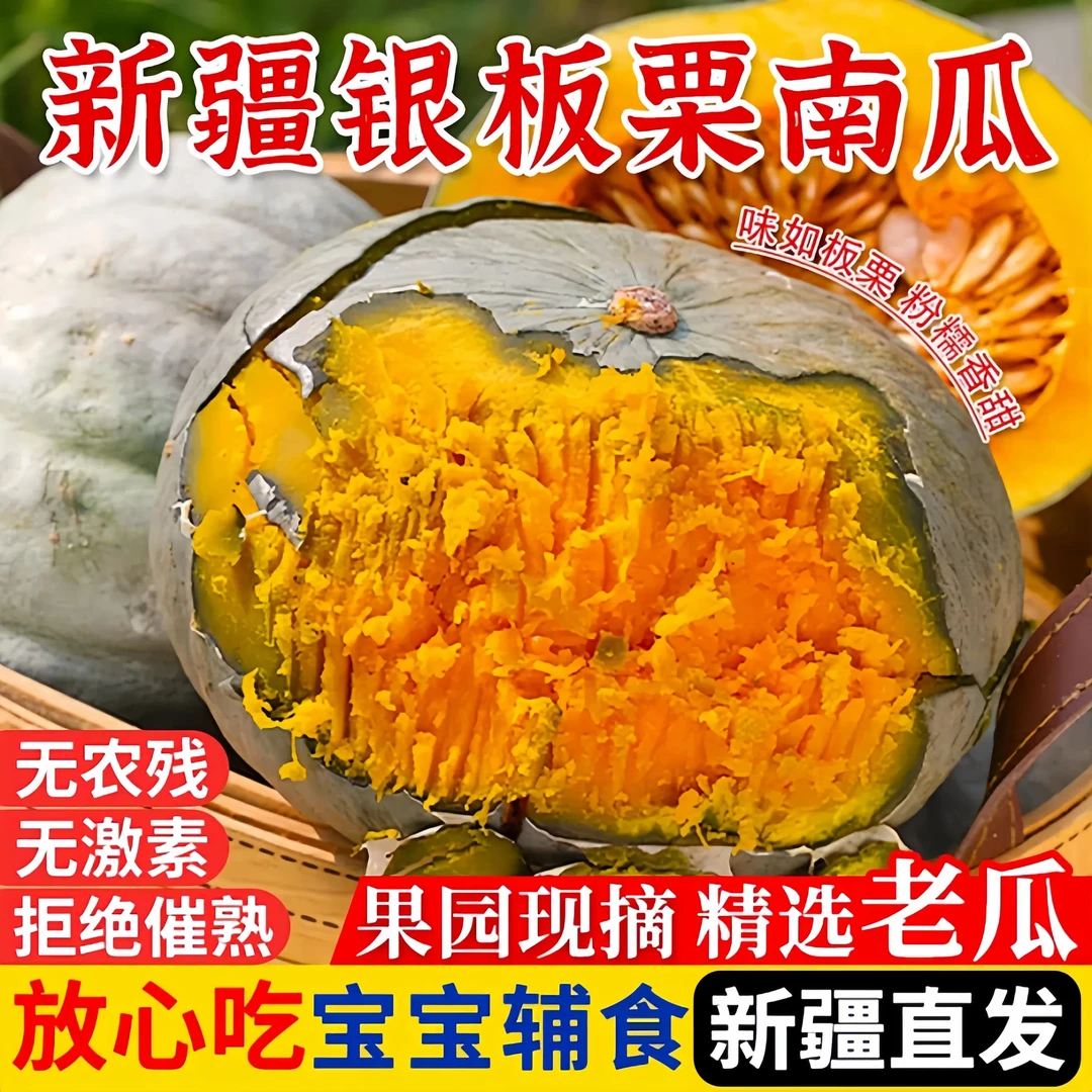 【新疆产地直发】银栗老南瓜粉糯香甜当季孕妇宝宝辅食贝贝板栗南瓜