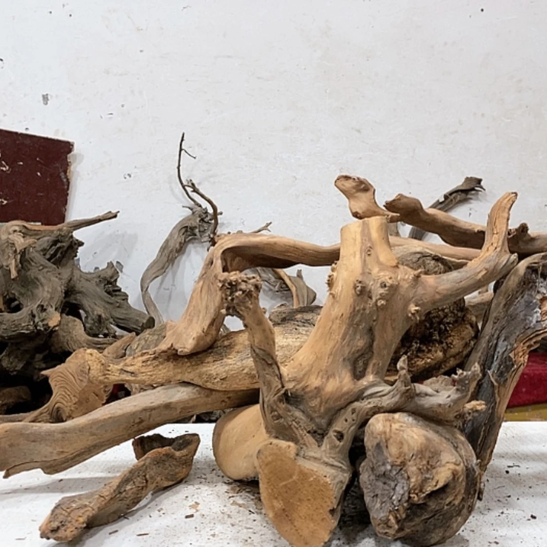 【闪购商品】柏木歪*我们都是好孩子