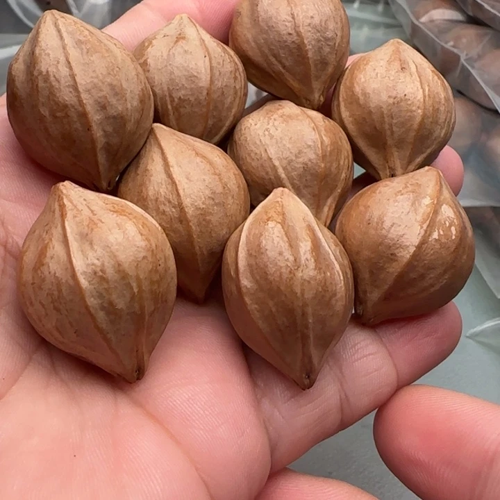 橄榄核手串橄榄核原皮四花2.4