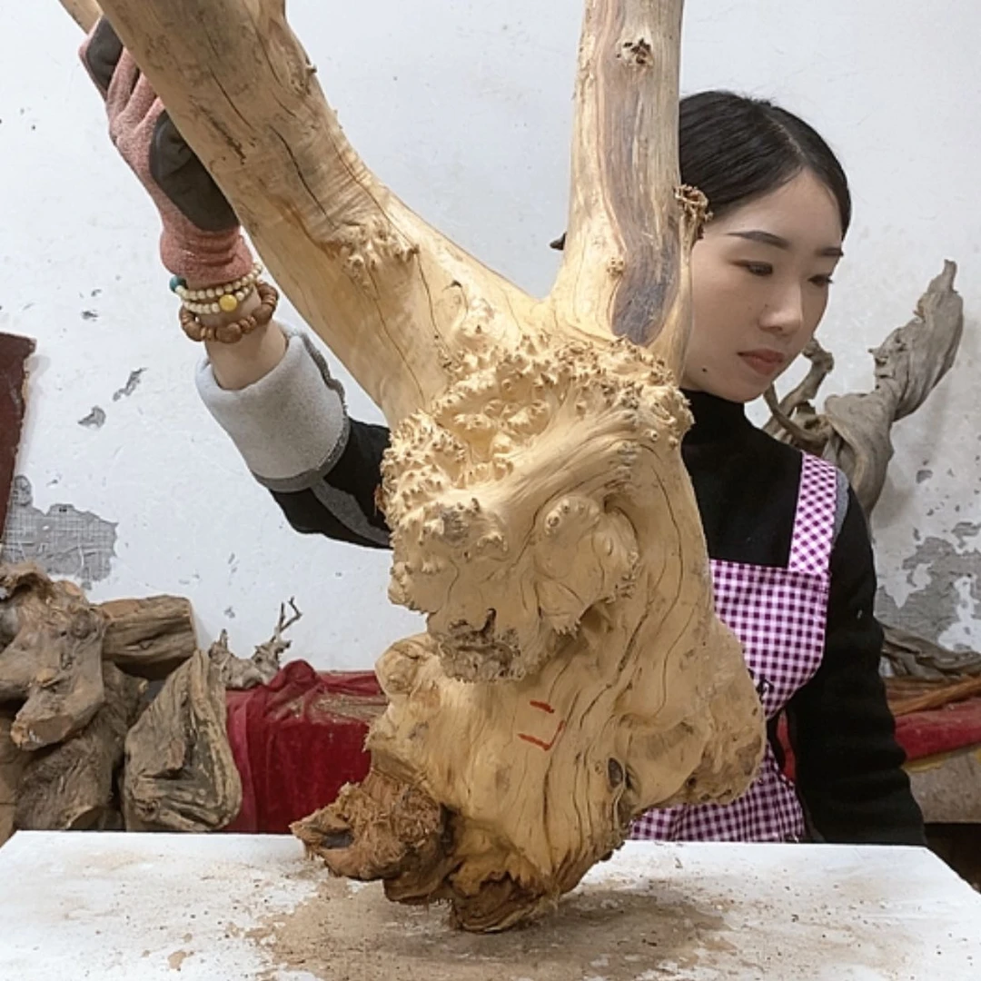 【闪购商品】柏木宝*堂我们都是好孩子