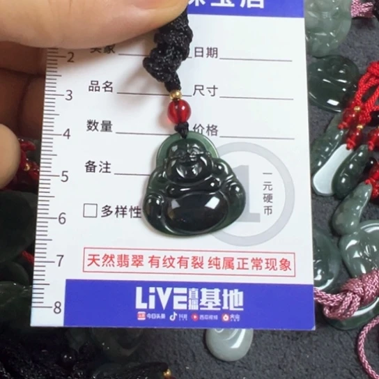 翡翠未镶嵌颈饰墨翠