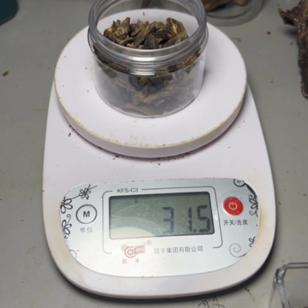 【闪购商品】树脂制品简***乐海南白露树丁香