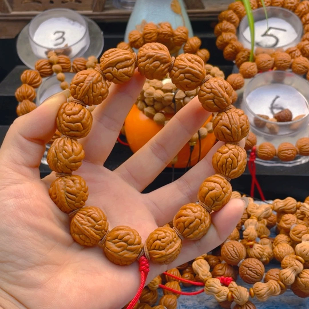 霸王龙。红红火火。红红火火