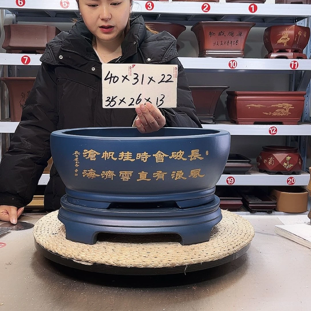 紫砂花盆紫砂花盆里